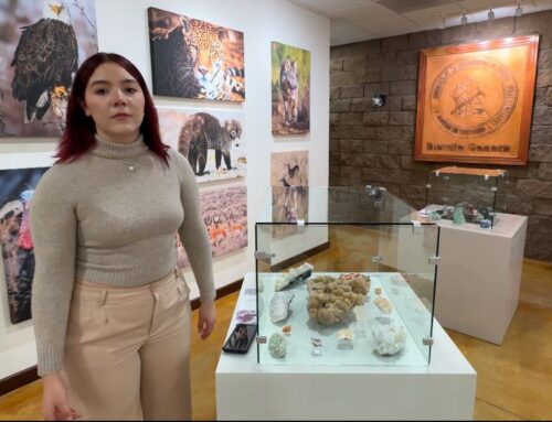 Visitan estudiantes de la Unison Museo de Minerales