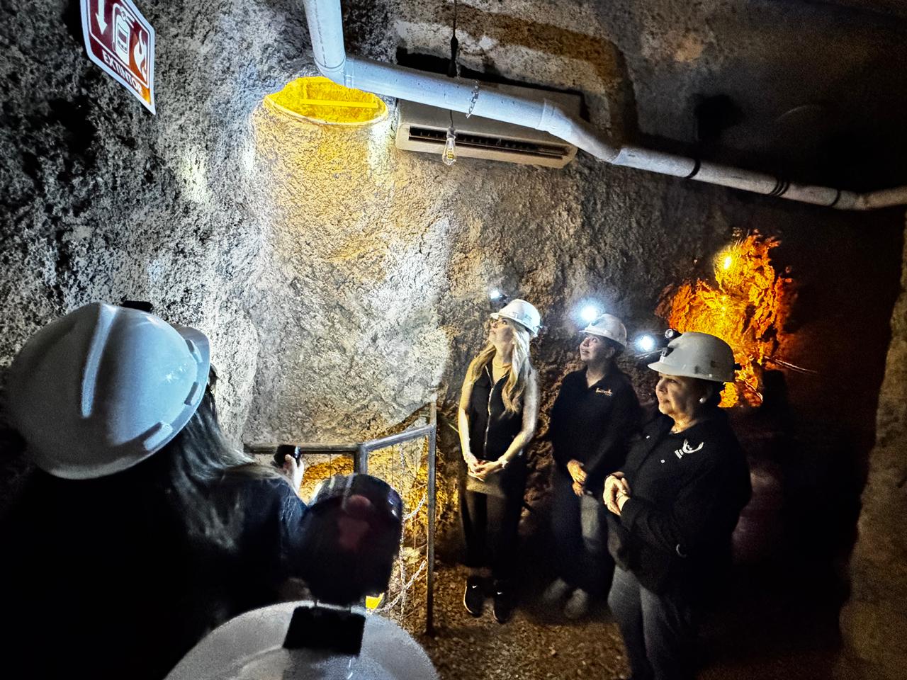 Ampliación del Museo de Minería